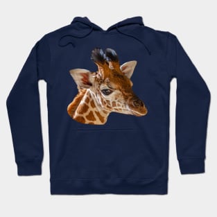 Young Giraffe Hoodie